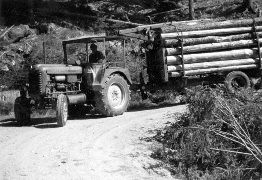 Firma Holzer, Oberpeischlach