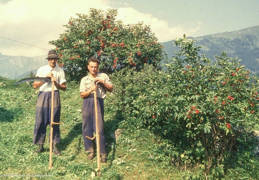 ca. 1967, Heumahd, Arnig