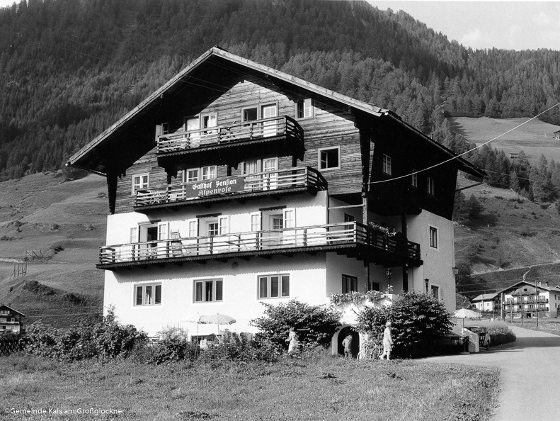 fodn59_alpenrose_01.jpg