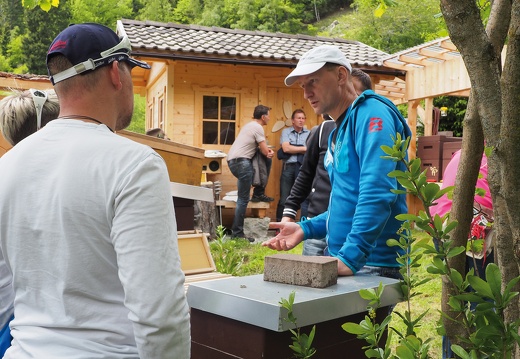 2015, Tag des offenen Bienenstocks