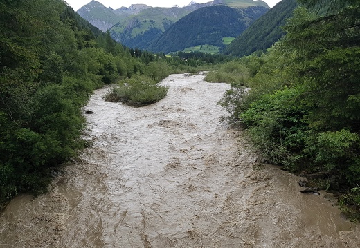 2017, Kalserbach Schotterfluren