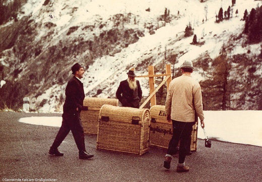 1969, Steinbock-Freilassung