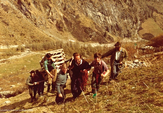 Steinbockfreilassung Ködnitztal
