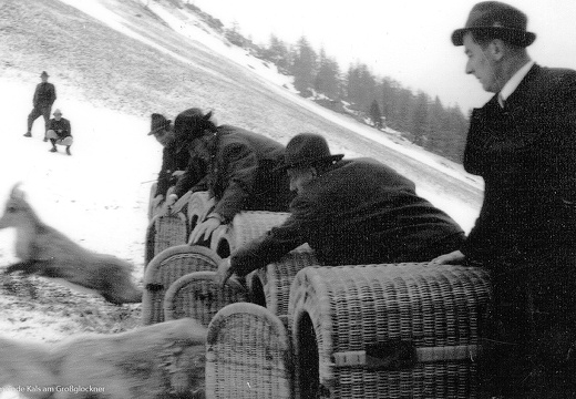 1969, Steinbock-Freilassung