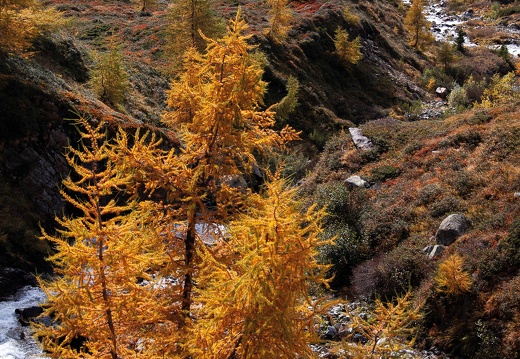 2012, Herbst in der Lesachalm
