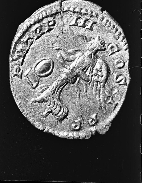 Münze   Steinhammer539.jpg