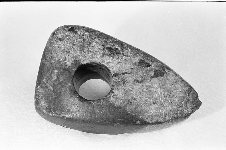 Münze   Steinhammer531.jpg