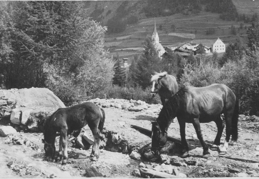 pferde untere ködnitz 1942