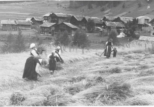 Heuernte 1942, großdorf