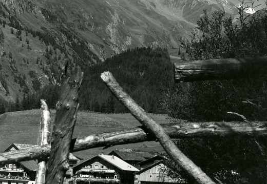 Blick  vom "Plissenweg" auf Burg