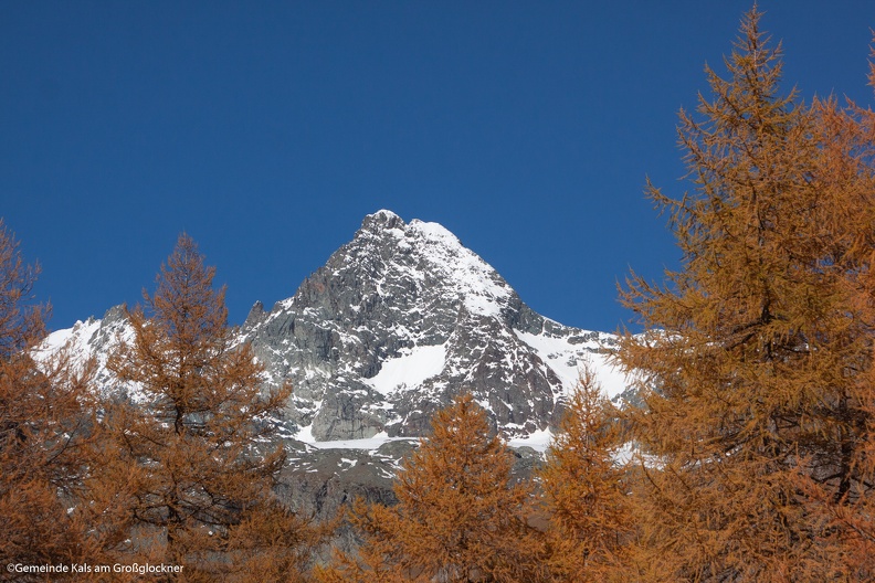 IMG_7652.jpg