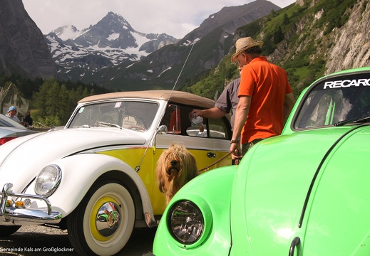 2013, VW-Käfertreffen 