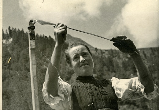 1943, beim Mähen
