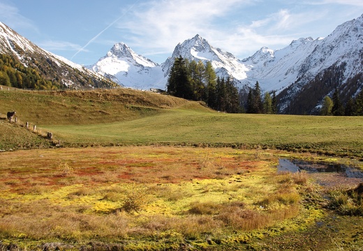 2013, Jagglerlacke