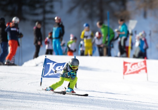 2019, Meisterschaft Schi alpin