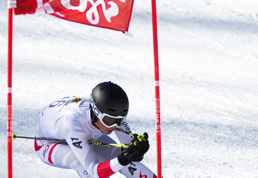 2019, Meisterschaft Schi alpin