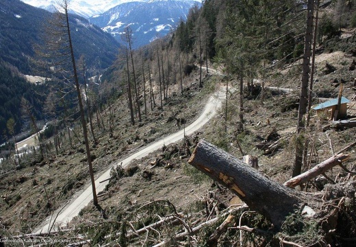 2018, Schäden Sturmtief "VAIA"