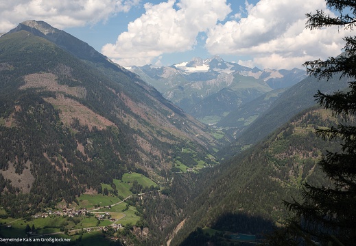 2020, Schadholzaufarbeitung „VAIA“
