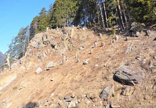 Hangsicherung Peischlerberg - Lindsberger (7)