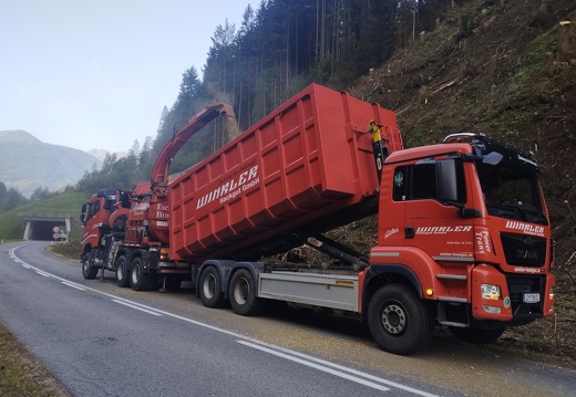 Holzschlägerung 08/2023