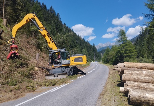 Holzschlägerung 08/2023