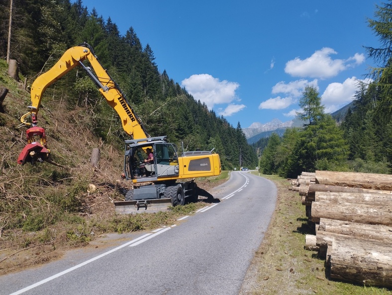 Holzschlägerung.jpg