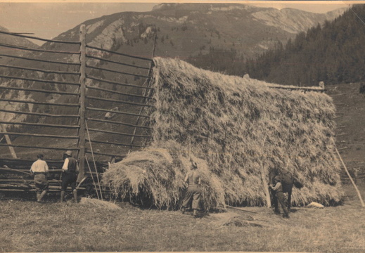Heuernte 1942 
