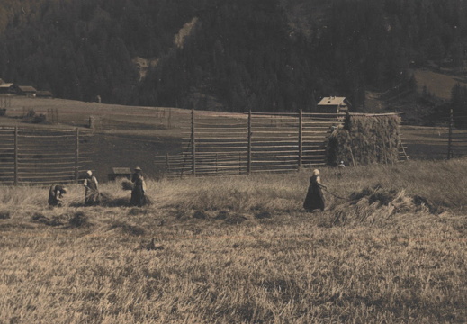 Heuernte 1942 Dorferfelder 