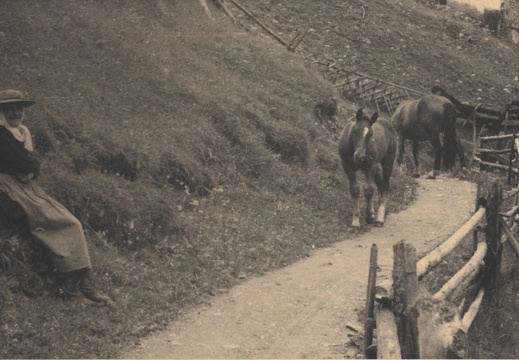 Weg zur Lucknerhütte 1942 