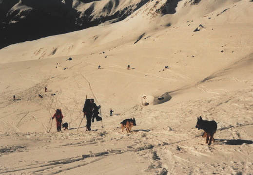 Lawinenübung mit Hundestaffel Kitzbühel Glorerhütte, 1998